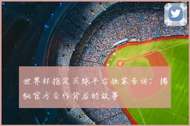世界杯指定买球平台独家专访：揭秘官方合作背后的故事