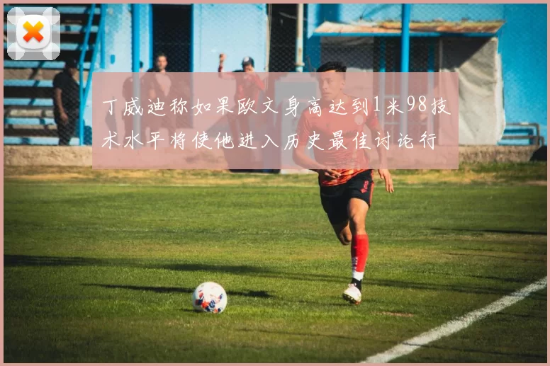 丁威迪称如果欧文身高达到1米98技术水平将使他进入历史最佳讨论行列