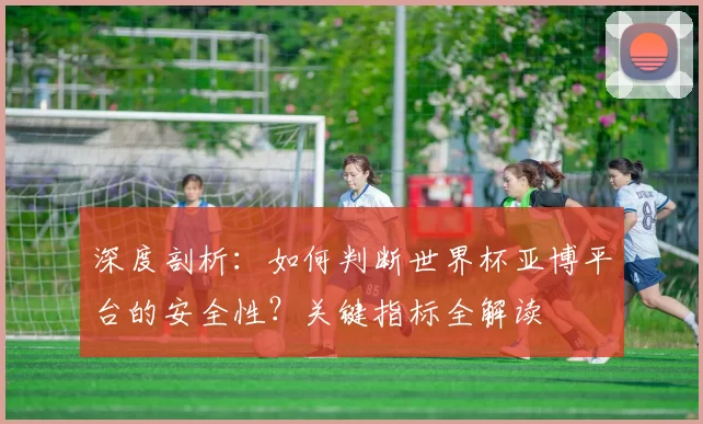 深度剖析:如何判断世界杯亚博平台的安全性?关键指标全解读