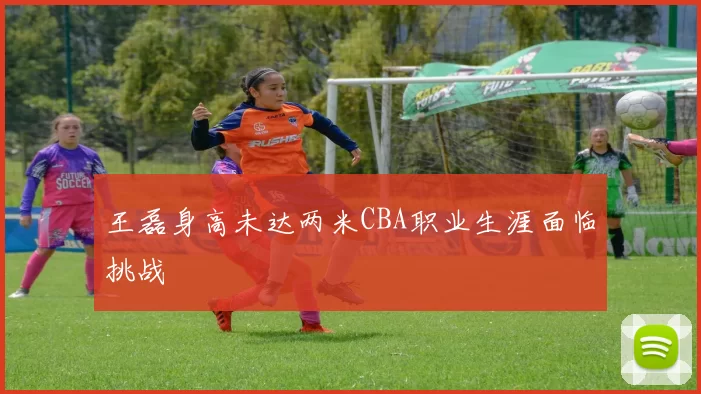 王磊身高未达两米CBA职业生涯面临挑战