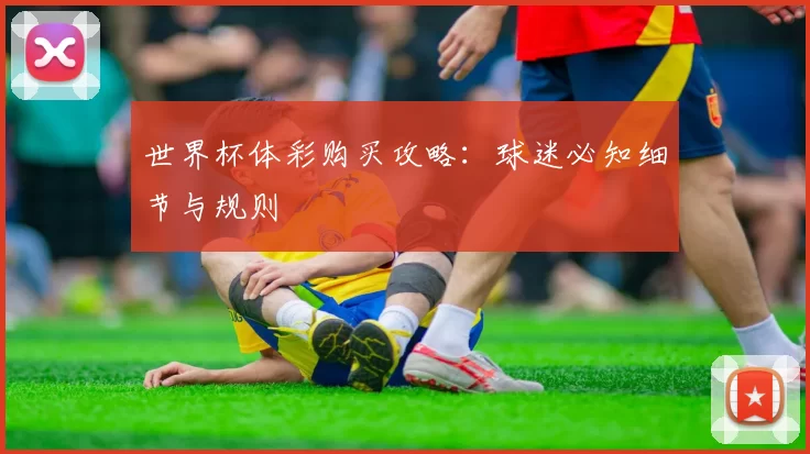 世界杯体彩购买攻略：球迷必知细节与规则
