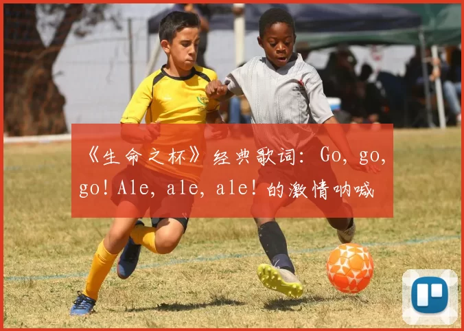 《生命之杯》经典歌词:Go, go, go! Ale, ale, ale! 的激情呐喊