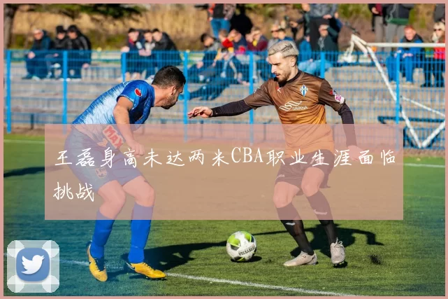 王磊身高未达两米CBA职业生涯面临挑战