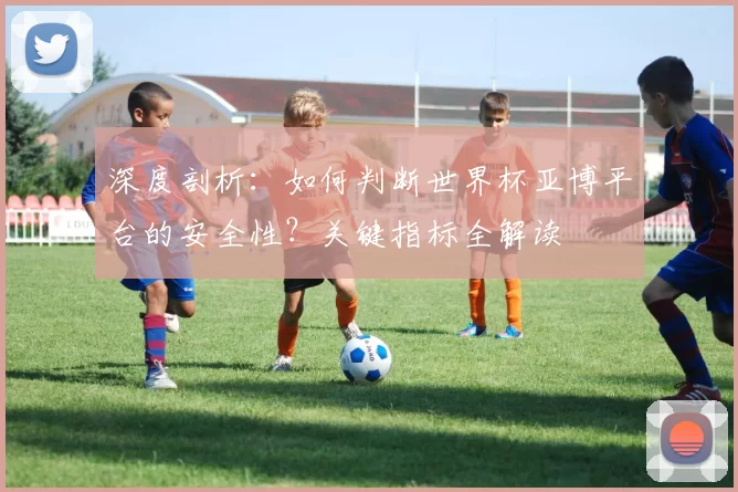 深度剖析:如何判断世界杯亚博平台的安全性?关键指标全解读