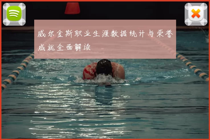 威尔金斯职业生涯数据统计与荣誉成就全面解读