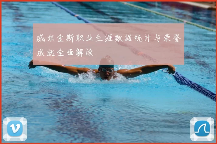 威尔金斯职业生涯数据统计与荣誉成就全面解读